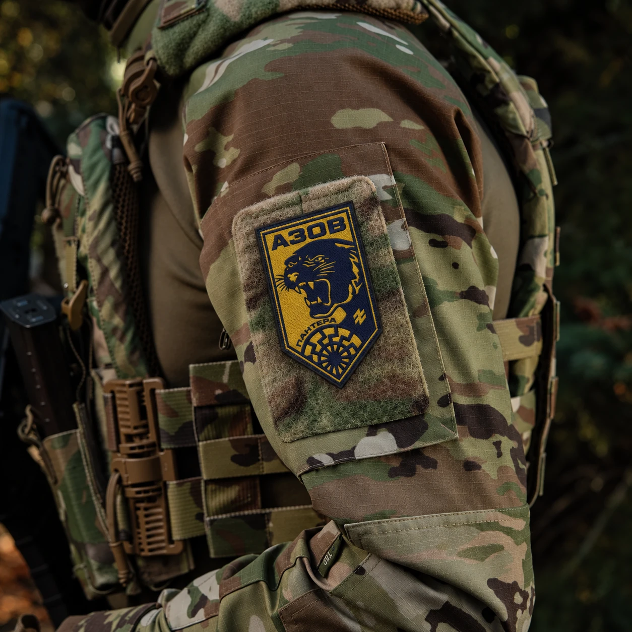 Pantera patch worn on a multicam sleeve